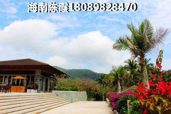 国家海岸·保利海棠楼盘详情