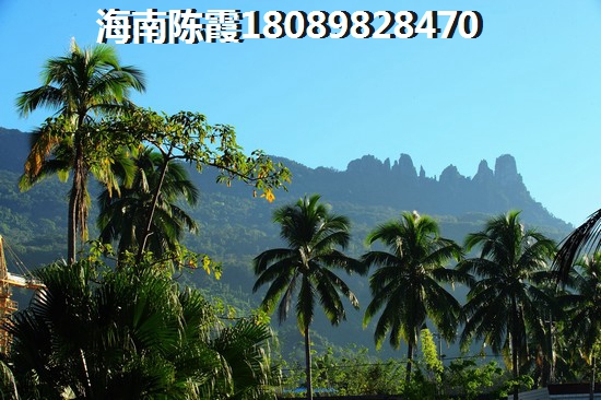 三亚湾适合度假touzi新房 三亚湾适合养生养老新房