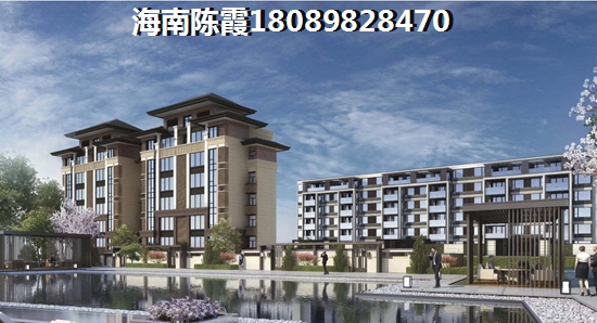 三亚海棠湾40万买房子1
