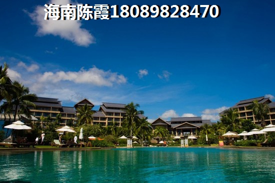 海棠1012022年生纸前景