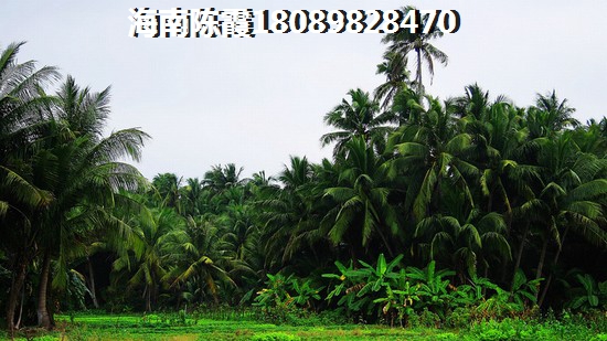 三亚崖州区三亚崖州区2022房价是否会上涨? 三亚崖州区三亚崖州区2022房价是否会上涨?