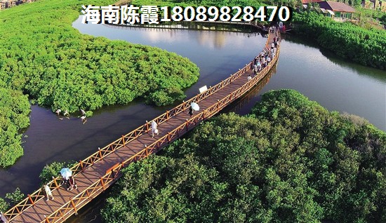 海南三亚是否适合养老