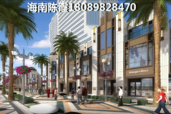 海南三亚能touzi买房么? 海南三亚能touzi买房么?