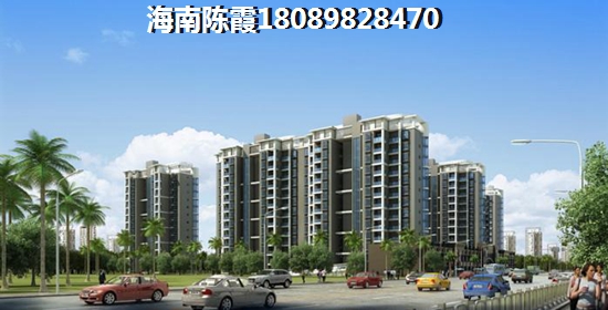 2024三亚湾红树林模块公寓楼盘分析~2