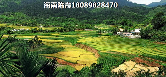 为何三亚海棠湾房价涨这么快